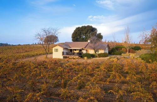 Shenandoah Valley Cabaña | Beautiful 2 bedroom 2 bath Vineyard house located in a vineyard on 40 acres