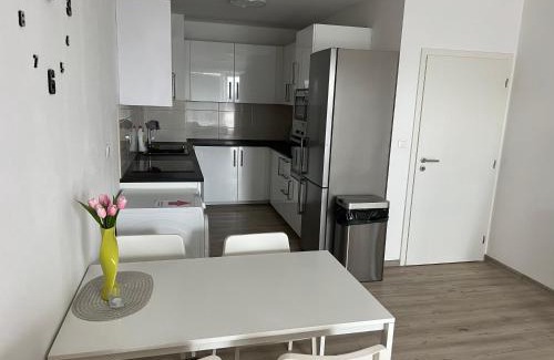 Prostejov Apartamento | Beautiful 2 Bedroom Apartment