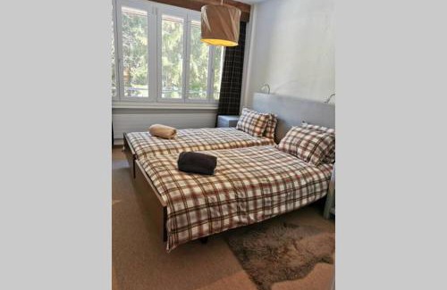 Villars-sur-Ollon Chalet De Esquí | Beautiful apartment entirely renovated near the center