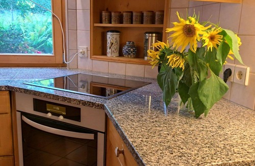 Maishofen Apartamento | Beautiful apartment for 5 guests with WIFI, TV, patio and pets allowed