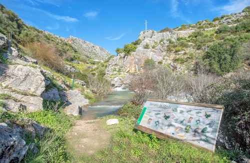 Benaojan Apartamento | Hermoso apartamento "Casa Rural Nacimiento 1" con piscina, jardín, Wi-Fi y aire acondicionado