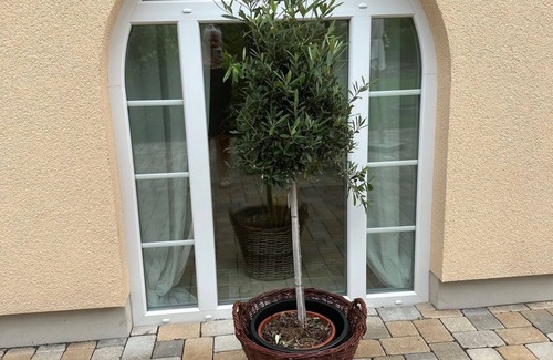 Lichtenberg Apartamento | Beautiful apartment in a central location close to Salzgittersee