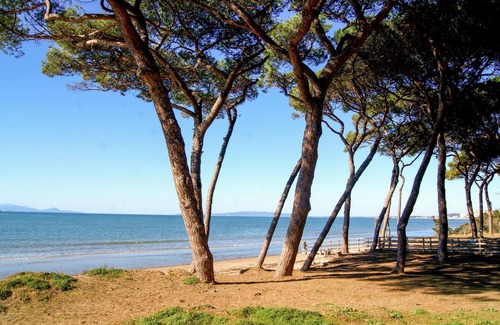 Piombino Apartamento | Hermoso apartamento en Piombino