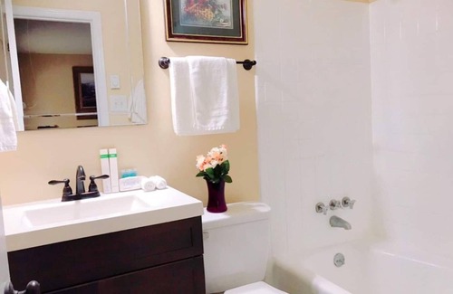 Downtown Greensboro Apartamento | Beautiful apartment in Historic Downtown Location