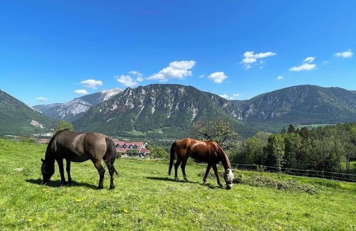Reichenau an der Rax Apartamento | Beautiful, quiet vacation apartment at the Mariengestüt am Kreuzberg