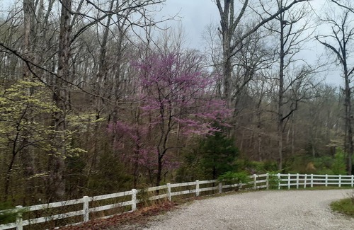 Linn Creek Casa | Beautiful barn apartment on 3 wooded acres with 300ft of waterfront.