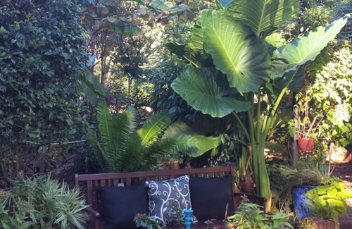 Stone Mountain Apartamento | Beautiful basement apartment with Garden