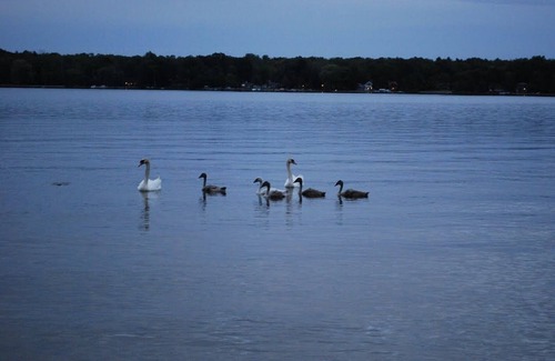 Pentwater Casa | Hermoso lago bajo en Pentwater