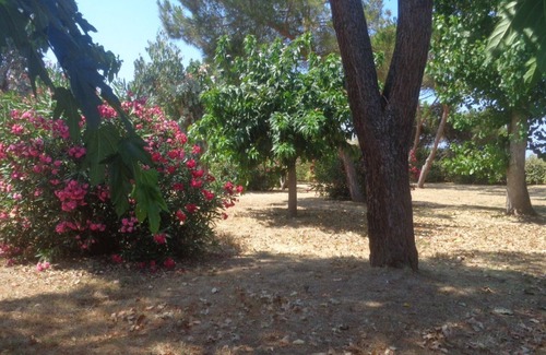Calcatoggio Apartamento | Alquileres de vacaciones en Córcega del Sur