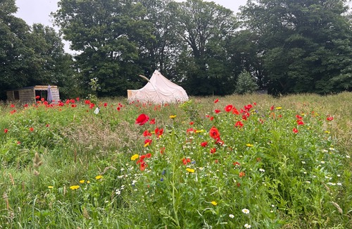 Cowbridge Cabina | A Boutique Hotel Room in a Tent