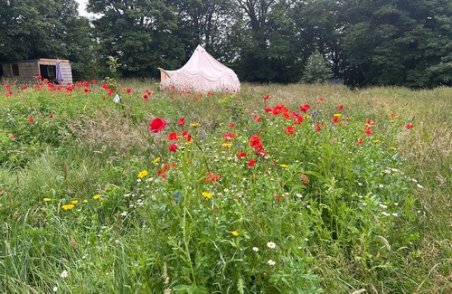 Cowbridge Cabina | A Boutique Hotel Room in a Tent