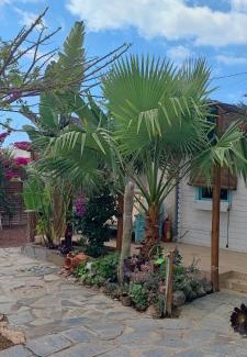 Arona Casa | Beautiful Bungalow en VV con wifi,netflix cerca del mar