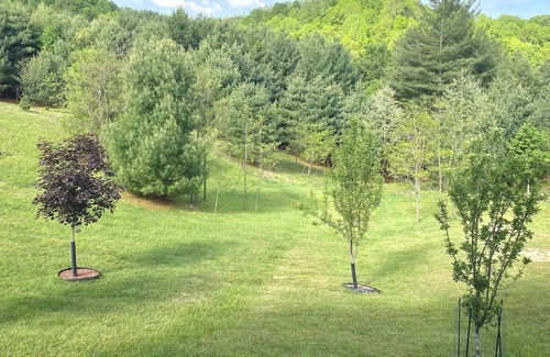 Piney Creek Cabina | Beautiful Cabin at the New River w/ Blue Ridge Mountain Views!