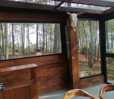 Jimenez Casa | Beautiful cabin in the middle of the forest