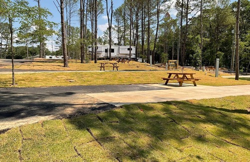 Mount Vernon Cabina | Beautiful Cabin Located in the Piney Woods of East Texas - 1 Bedroom/Double Loft