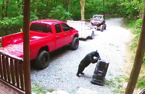 Gatlinburg - Pigeon Forge Apartamento | Beautiful Cabin w hot tub Sauna Pool Table