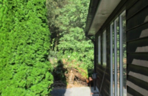 Marum Chalet De Esquí | Beautiful chalet for rent against forest edge, border Friesland/Groningen/Drenthe.