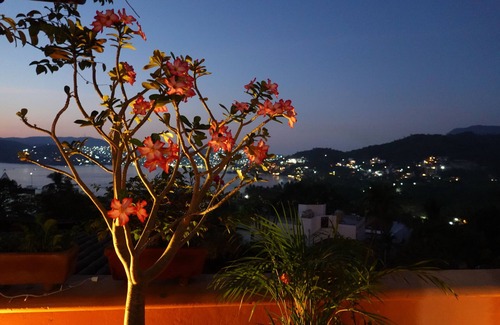 Playa Las Gatas Casa | Beautiful Condo With Gorgeous Ocean View 5 Min Walk from the best beach in Zihua
