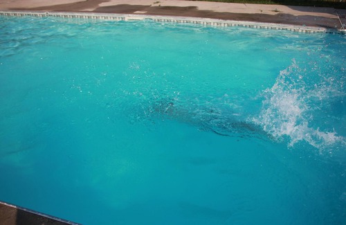 Lumberton Casa | Beautiful country house, huge pool, sapcious living room with privacy doors.