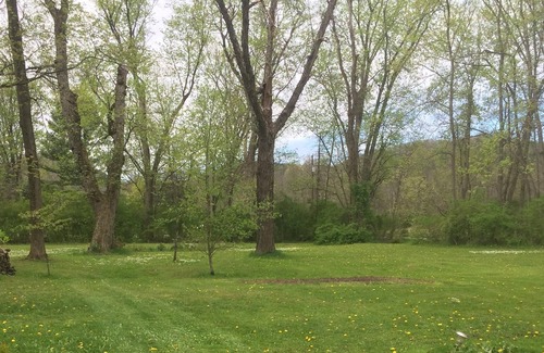 Mill Hall Cabaña | Beautiful Creek Side Home a lo largo de Bald Eagle Creek, Mill Hall, PA