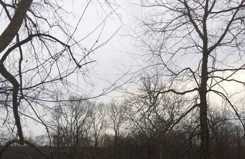 Mill Hall Cabaña | Beautiful Creek Side Home a lo largo de Bald Eagle Creek, Mill Hall, PA