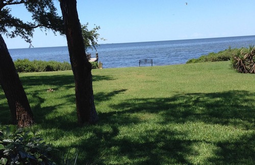 Tarpon Springs Casa | Hermosa-Directo Golfo de México Inicio