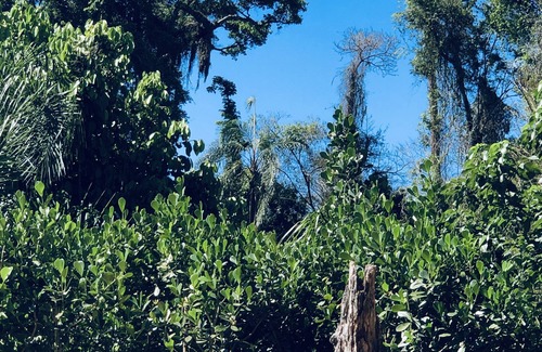 Sousas Cabaña | Beautiful estate with swimming pool, tennis court, sauna, gardens, lakes and native forest