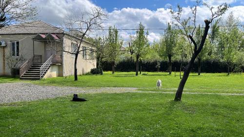 Samtredia Casa | Beautiful Georgia Guesthouse