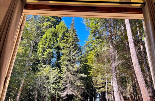 Fort Bragg Cabina | Beautiful Glamping Cabin in an old growth redwood forest with ocean views.