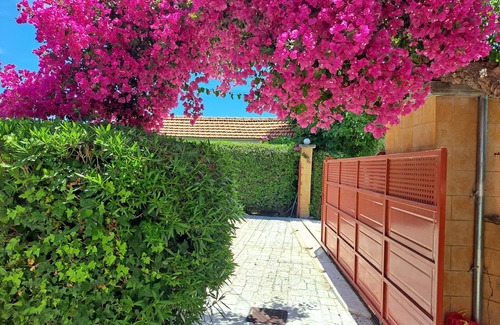 Pylos-Nestoras Casa | Bonita casa de campo en el campo con terraza | Messinia, Peloponeso
