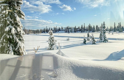 Sjusjoen Casa | Beautiful home in Sjusjoen