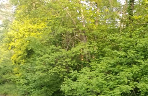 Ellijay Casa | Beautiful home located on Clear Creek . Relax and enjoy the sounds of nature....