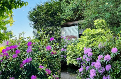 Regional District of Nanaimo Casa | Beautiful home with one acre land in Nanaimo