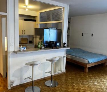 Malombre Apartamento | Beautiful Large Studio in center of Geneva Free Wifi