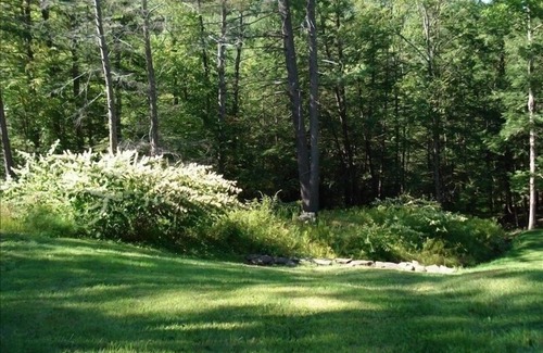 Phoenicia Casa | Hermosa Woodland Valle americano Vigas Inicio