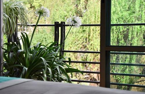 Escandón Apartamento | Beautiful LOFT in Trendy ROMA-CONDESA Elevator