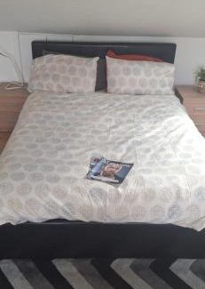 Kentish Town Casa | Beautiful loft with En-Suit in a family house,