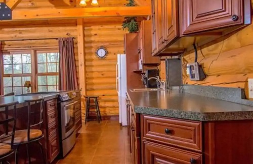 Ludington Cabina | Beautiful log cabin just minutes from the beach!