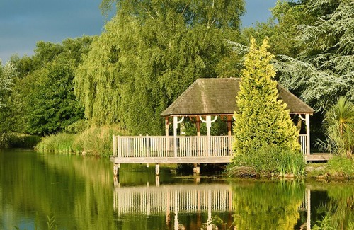 New Forest District Cabaña | Beautiful Luxury Cottage in the New Forest