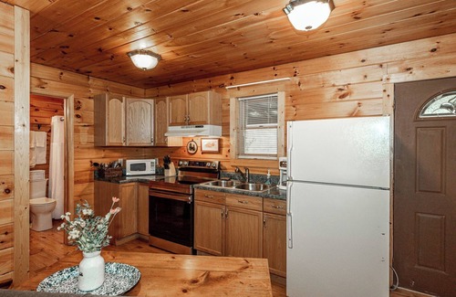 Townsend Cabina | Beautiful mountain cabin with river access. Firepit and wood burning fireplace .