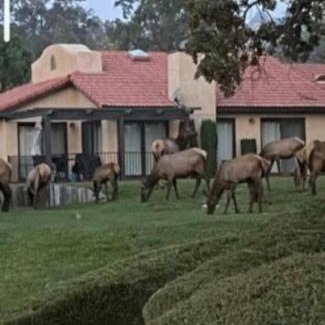 Stallion Springs Apartamento | Beautiful Mountain Home