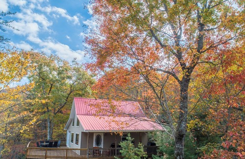 Hiawassee Cabina | Beautiful Mountain Views, Fast WiFi, No Pet Fees