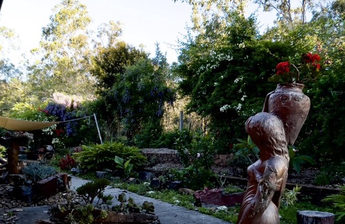 Maudsland Casa | Beautiful mudbrick house located in 7.5 acres beautiful land