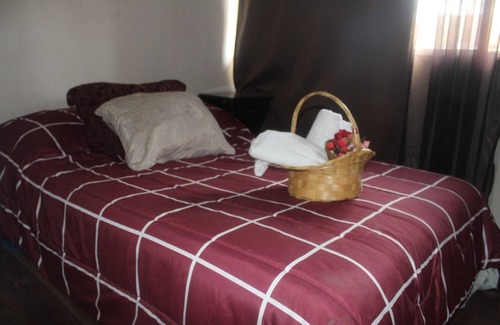 Coyoacán Apartamento | Hermoso y acogedor apartamento en el sol