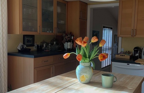 West of Town Casa | Beautiful Nantucket summer escape, 3 bed house, quiet office, central location