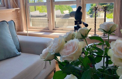 Sandefjord Cabina | Beautiful cabin in Sandefjord with sea view and just steps to the beach.