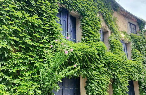 Laure-Minervois Casa | Beautiful, peaceful village house