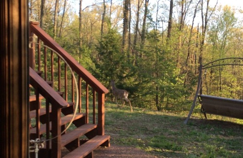 Franklin Casa | Beautiful private 2 bdrm apartment in a beautiful wooded setting