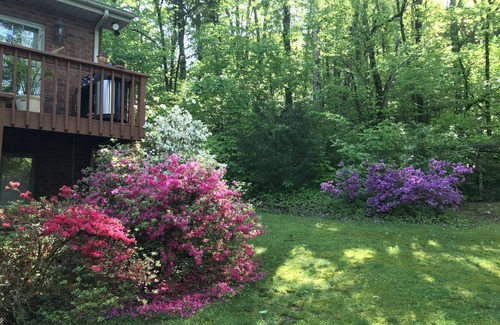 Franklin Casa | Beautiful private 2 bdrm apartment in a beautiful wooded setting