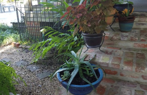 Breaux Bridge Condominio | Side House en Bayou Tech